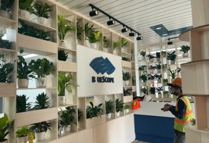 Cho thuê cây xanh văn phòng tại Biên Hòa