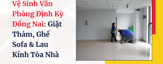 Vệ Sinh Văn Phòng Định Kỳ Đồng Nai: Giặt Thảm, Ghế Sofa & Lau Kính Tòa Nhà
