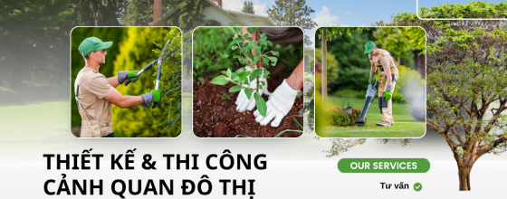 Xu hướng thiết kế và thi công cảnh quan cây xanh đô thị tại Đồng Nai năm 2025