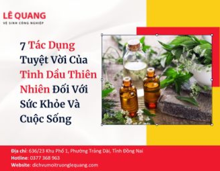 7 Tác Dụng Tuyệt Vời Của Tinh Dầu Thiên Nhiên Đối Với Sức Khỏe Và Cuộc Sống