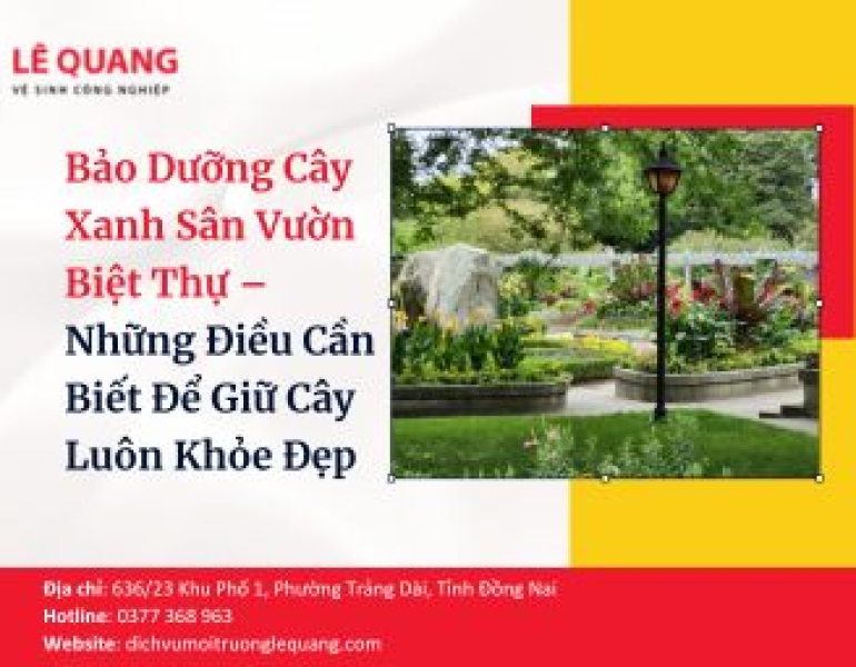 Bảo dưỡng cây xanh sân vườn biệt thự – Những điều cần biết để giữ cây luôn khỏe đẹp