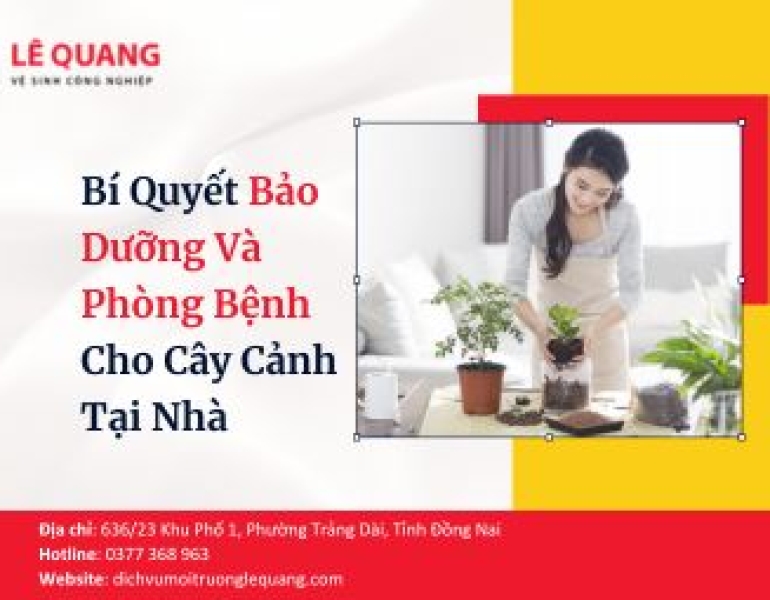 Bí Quyết Bảo Dưỡng Và Phòng Bệnh Cho Cây Cảnh Tại Nhà 