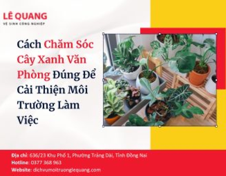 Cách Chăm Sóc Cây Xanh Văn Phòng Đúng Để Cải Thiện Môi Trường Làm Việc