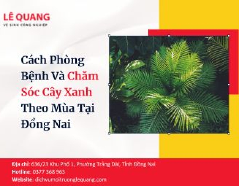 Cách Phòng Bệnh Và Chăm Sóc Cây Xanh Theo Mùa Tại Đồng Nai