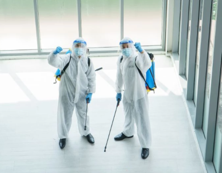 Vì sao phải thuê đơn vị dịch vụ phun diệt côn trùng chuyên nghiệp?