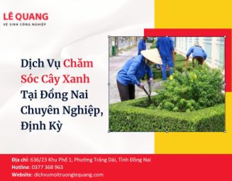 Dịch Vụ Chăm Sóc Cây Xanh Tại Đồng Nai Chuyên Nghiệp, Định Kỳ
