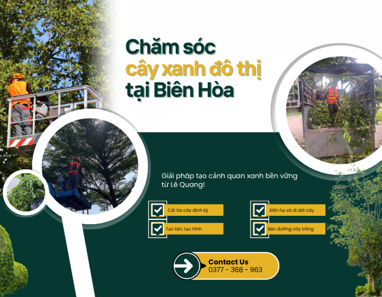 Chăm sóc cây xanh đô thị tại Biên Hòa: Giải pháp tạo cảnh quan xanh bền vững