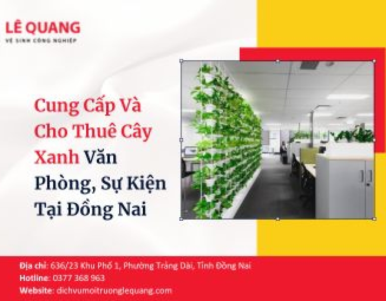 Cung Cấp Và Cho Thuê Cây Xanh Văn Phòng, Sự Kiện Tại Đồng Nai
