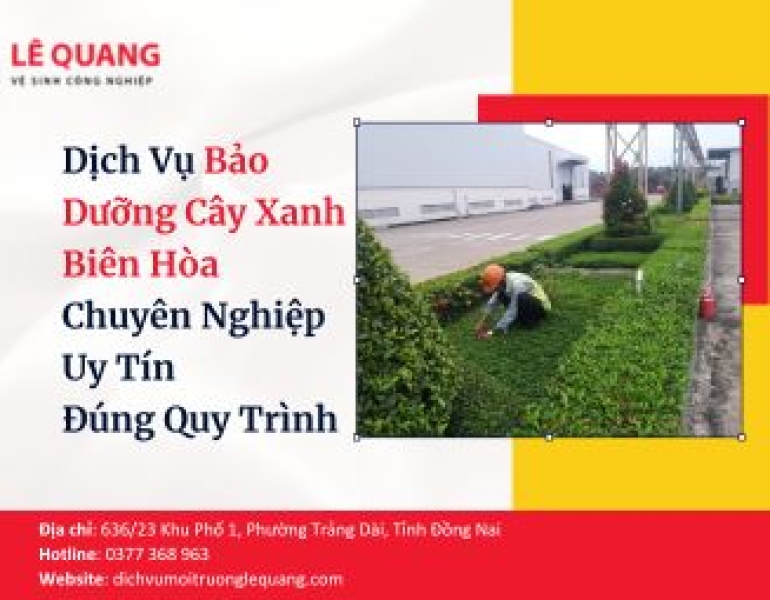 Dịch Vụ Bảo Dưỡng Cây Xanh Biên Hòa: Chuyên Nghiệp – Uy Tín – Đúng Quy Trình