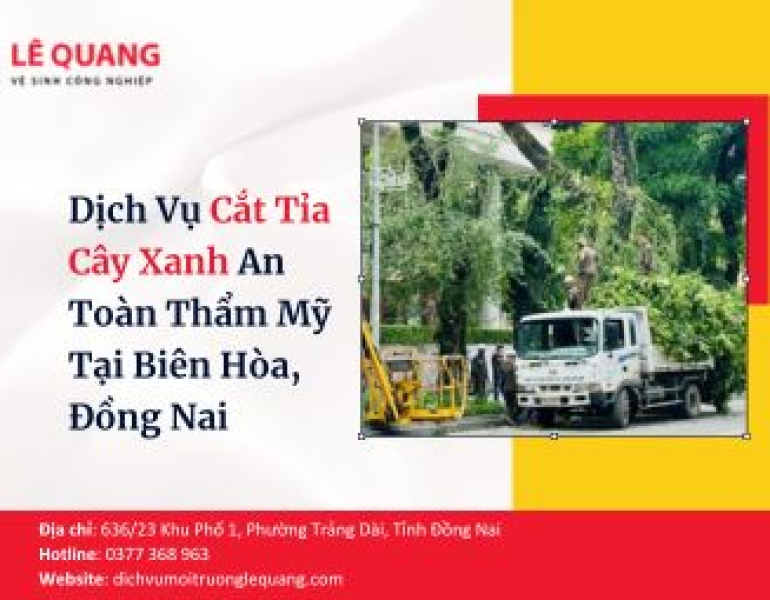 Dịch Vụ Cắt Tỉa Cây Xanh An Toàn Thẩm Mỹ Tại Biên Hòa, Đồng Nai 