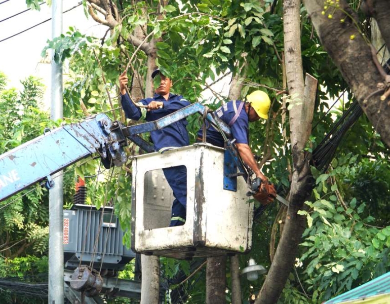 Dịch vụ cắt tỉa cây xanh an toàn theo quy chuẩn tại Lê Quang