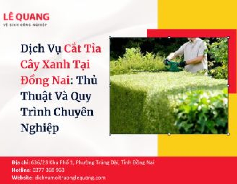 Dịch Vụ Cắt Tỉa Cây Xanh Tại Đồng Nai: Thủ Thuật Và Quy Trình Chuyên Nghiệp