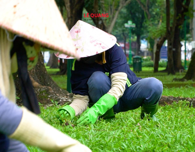 Tổng quan dịch vụ chăm sóc cây xanh tại Đồng Nai – Những lợi ích không thể bỏ qua