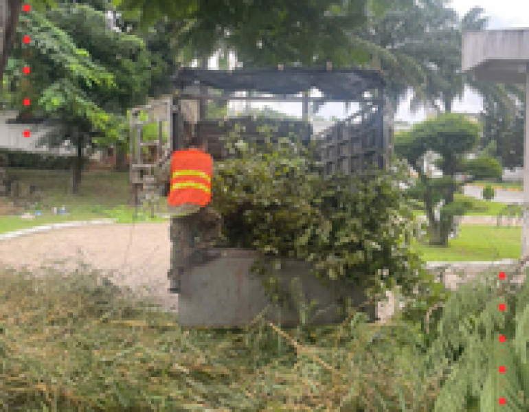 Dự án cắt tỉa cây xanh Công ty dệt TAINAN - KCN Biên Hoà 2