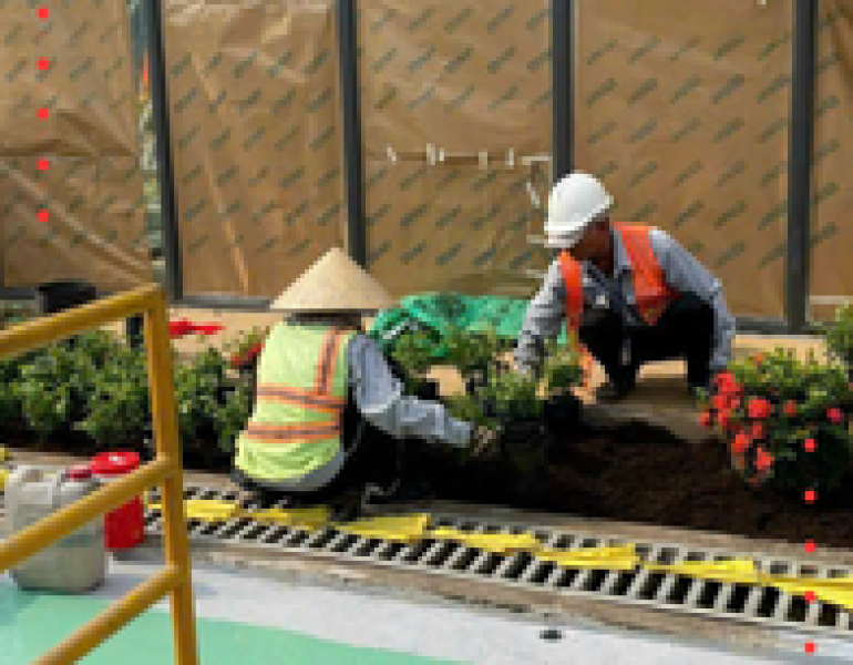 Dự án trồng cây xanh Công ty Blucope - KCN Biên Hoà 2