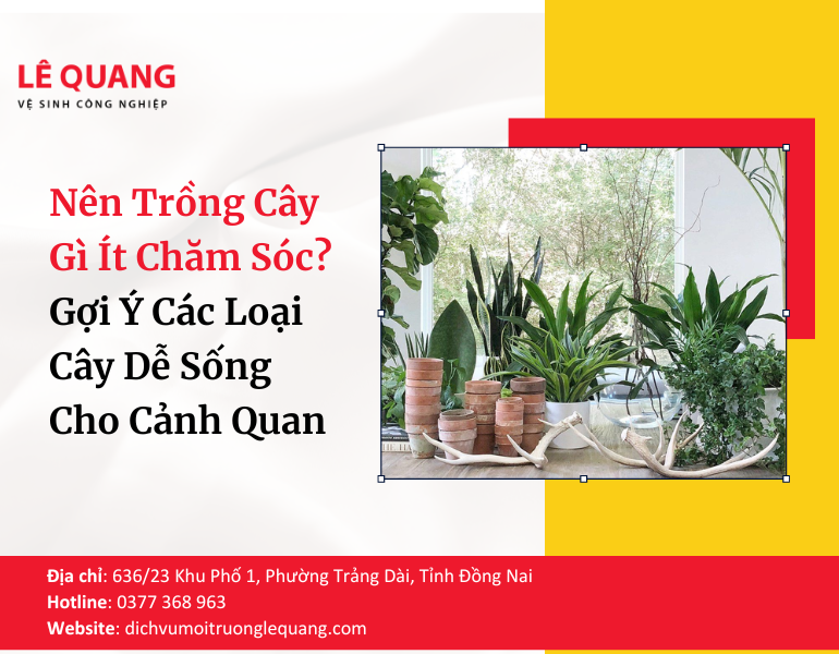 Các Loại Cây Xanh Phổ Biến Trong Cảnh Quan Và Đô Thị Hiện Nay