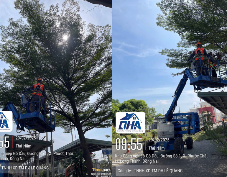 Hình ảnh thực tế thi công cắt tỉa cây xanh đường phố Đồng Nai