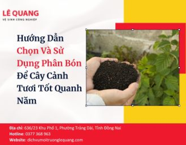 Hướng Dẫn Chọn Và Sử Dụng Phân Bón Để Cây Cảnh Tươi Tốt Quanh Năm