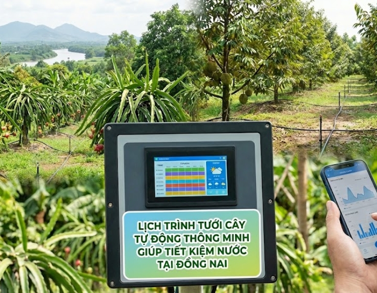 Lịch trình tưới cây tự động thông minh giúp tiết kiệm nước tại Đồng Nai