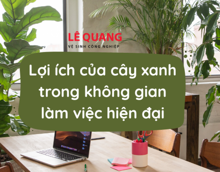 Lợi ích của cây xanh trong không gian làm việc hiện đại