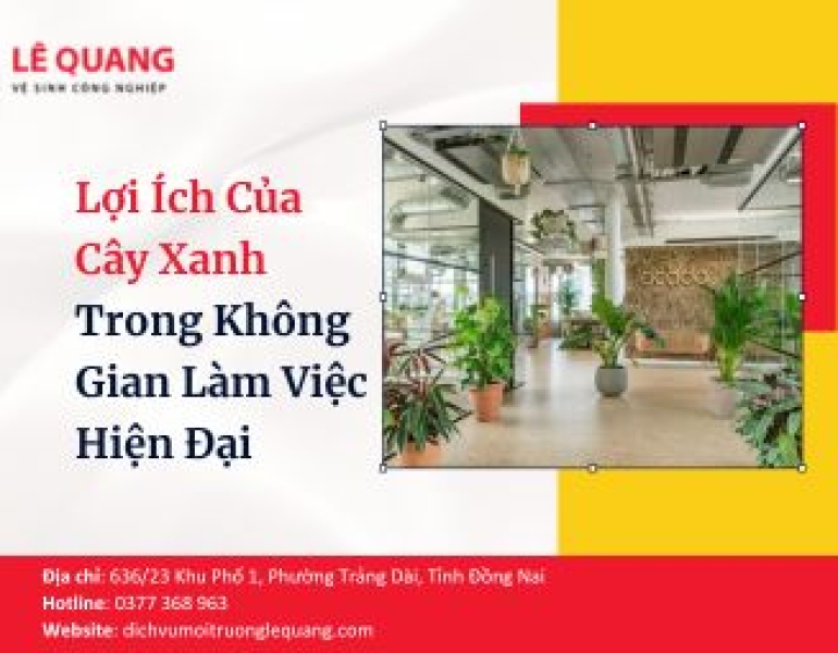Lợi Ích Của Cây Xanh Trong Không Gian Làm Việc Hiện Đại