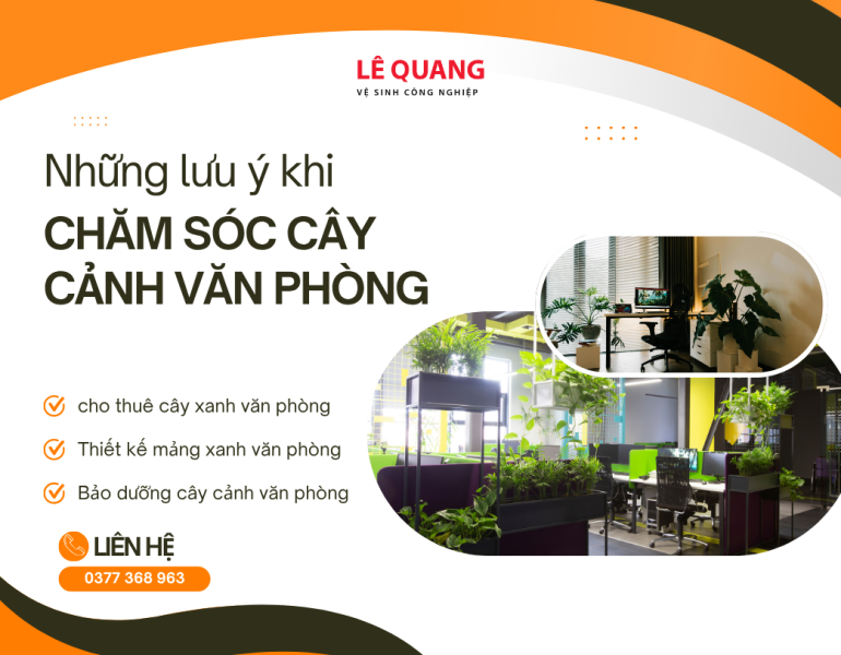 Những lưu ý khi chăm sóc cây cảnh văn phòng giúp tăng sức khỏe và năng suất làm việc