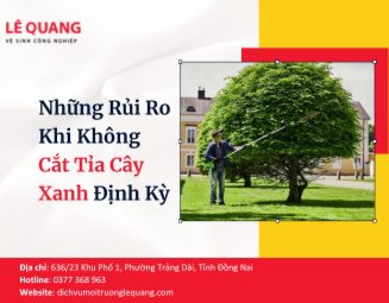 Những Rủi Ro Khi Không Cắt Tỉa Cây Xanh Định Kỳ