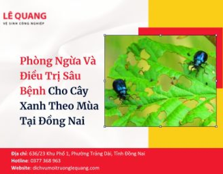 Phòng Ngừa Và Điều Trị Sâu Bệnh Cho Cây Xanh Theo Mùa Tại Đồng Nai
