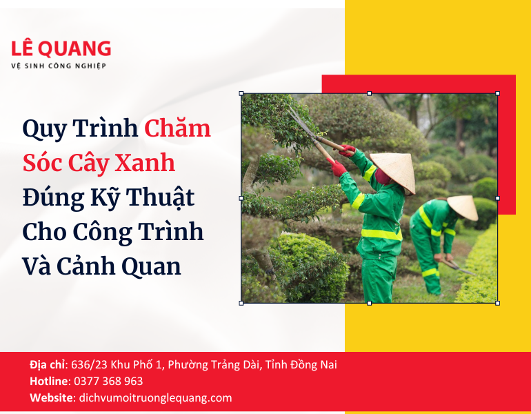Quy Trình Chăm Sóc Cây Xanh Đúng Kỹ Thuật Cho Công Trình Và Cảnh Quan