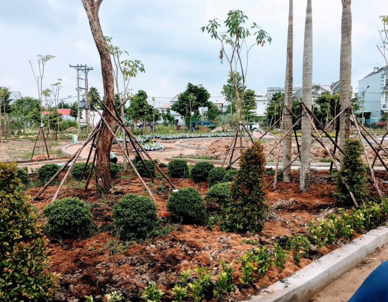 Thi công cây xanh đô thị Trảng Bom – Bền đẹp, dễ bảo trì