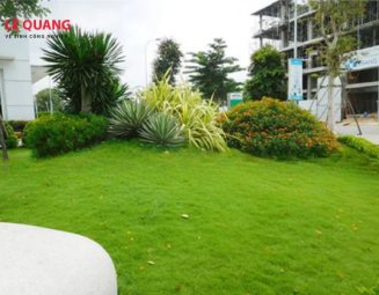 Dịch vụ thi công cây xanh Nhơn Trạch – Giải pháp xanh cho không gian sống