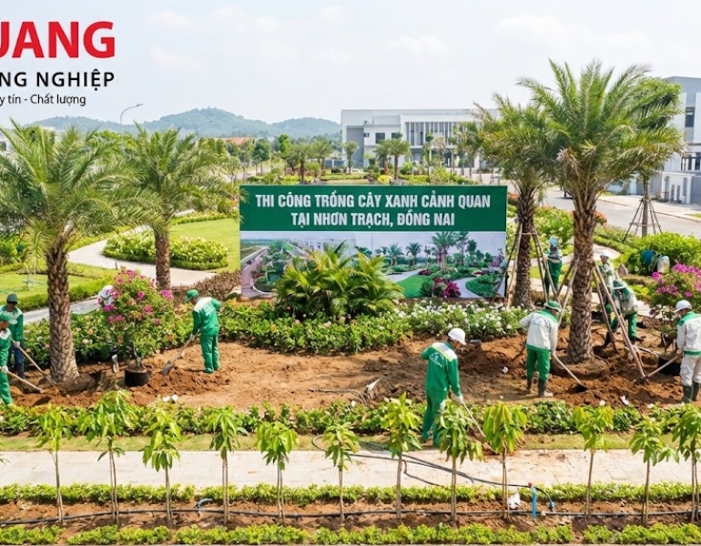 Thi Công Trồng Cây Xanh Cảnh Quan Tại Nhơn Trạch, Đồng Nai