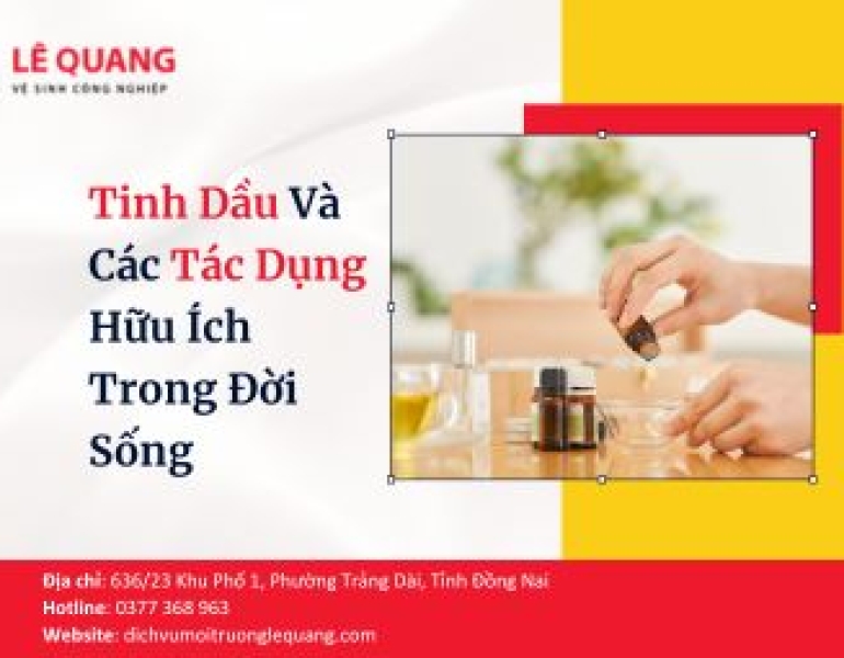 Tinh Dầu Và Các Tác Dụng Hữu Ích Trong Đời Sống