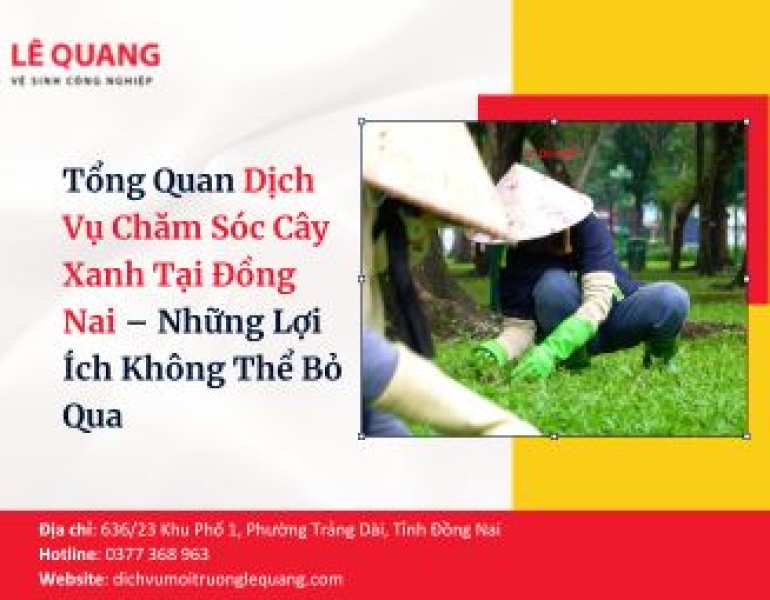 Tổng Quan Dịch Vụ Chăm Sóc Cây Xanh Tại Đồng Nai – Những Lợi Ích Không Thể Bỏ Qua