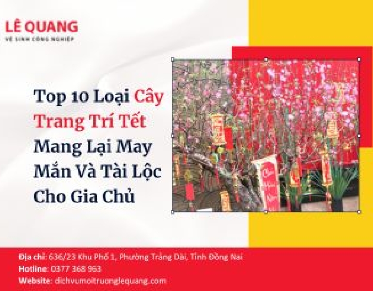 Top 10 Loại Cây Trang Trí Tết Mang Lại May Mắn Và Tài Lộc Cho Gia Chủ
