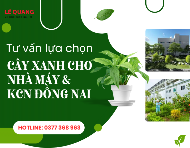 Tư vấn lựa chọn cây xanh phù hợp với không gian nhà máy và khu công nghiệp Đồng Nai