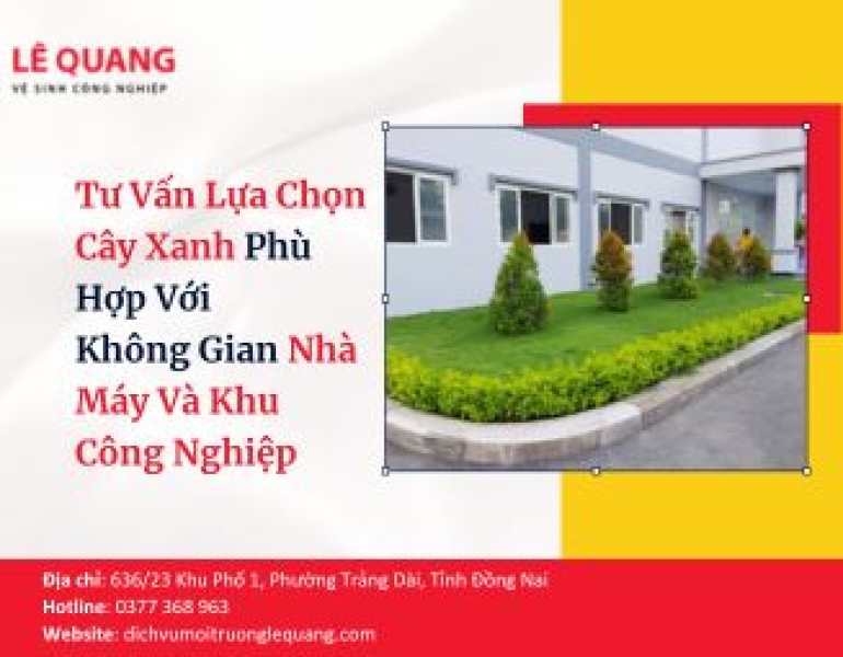Tư Vấn Lựa Chọn Cây Xanh Phù Hợp Với Không Gian Nhà Máy Và Khu Công Nghiệp 