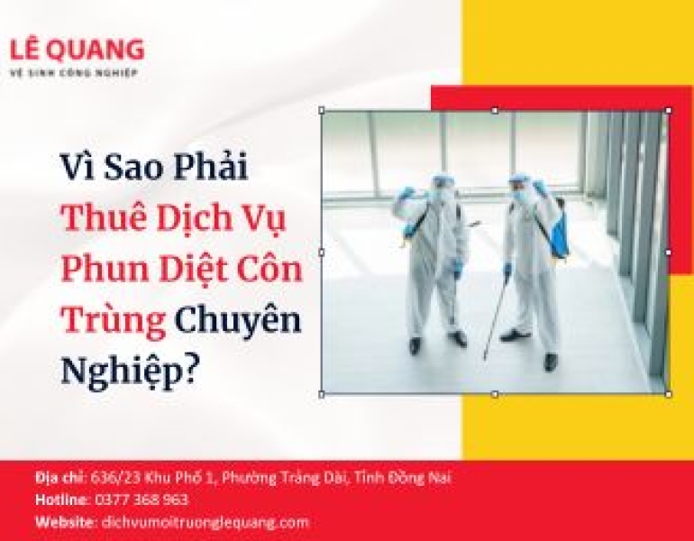 Vì Sao Phải Thuê Dịch Vụ Phun Diệt Côn Trùng Chuyên Nghiệp?