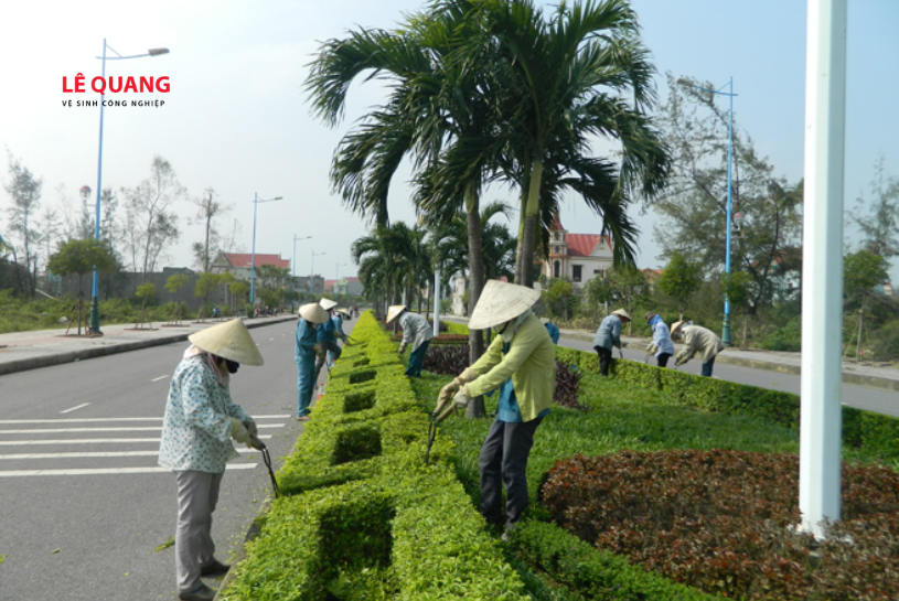 cắt tỉa cây xanh định kỳ