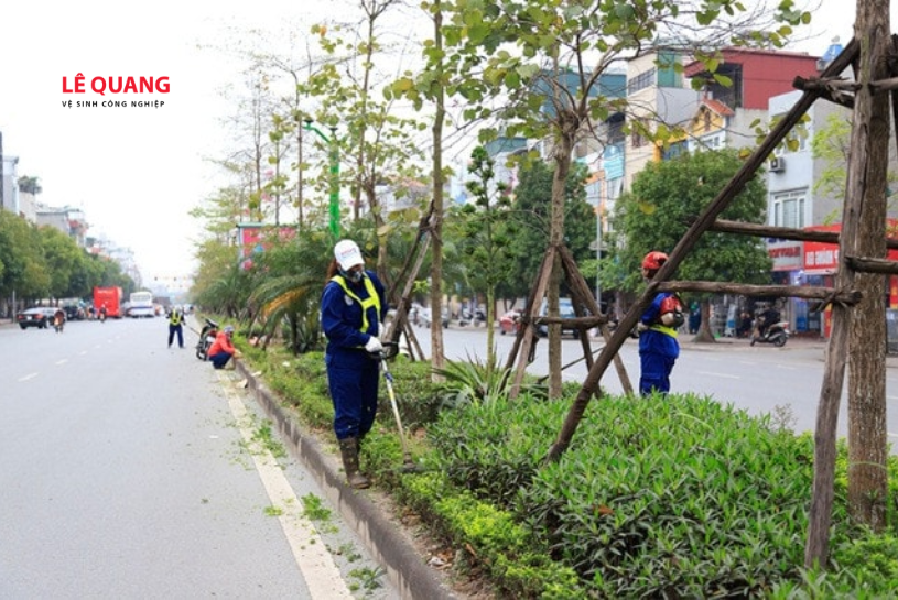 cắt tỉa cây xanh định kỳ